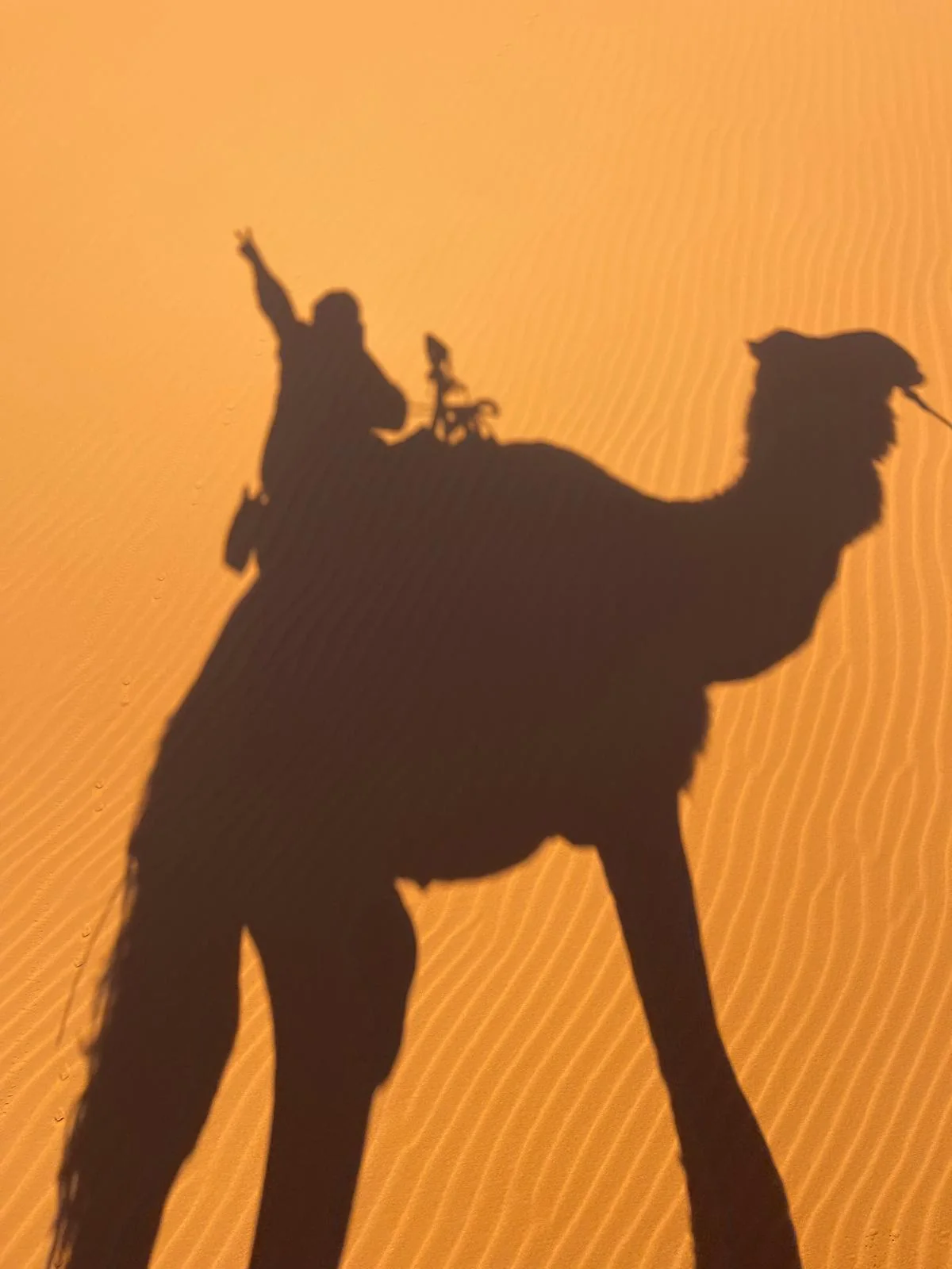 A private Sahara desert camp glowing at sunset