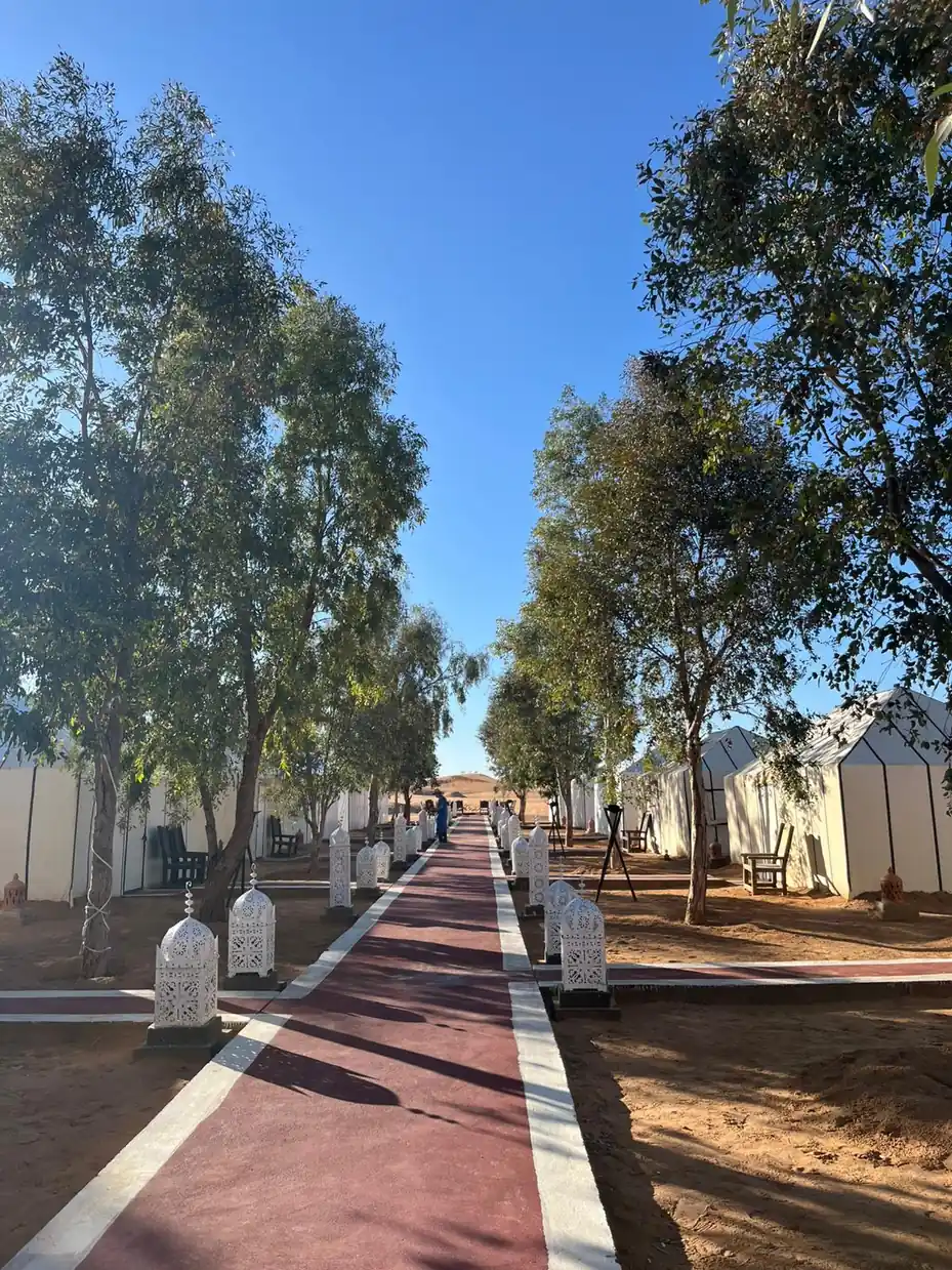 Fes to Marrakech via Cedar Forest & Merzouga gallery image