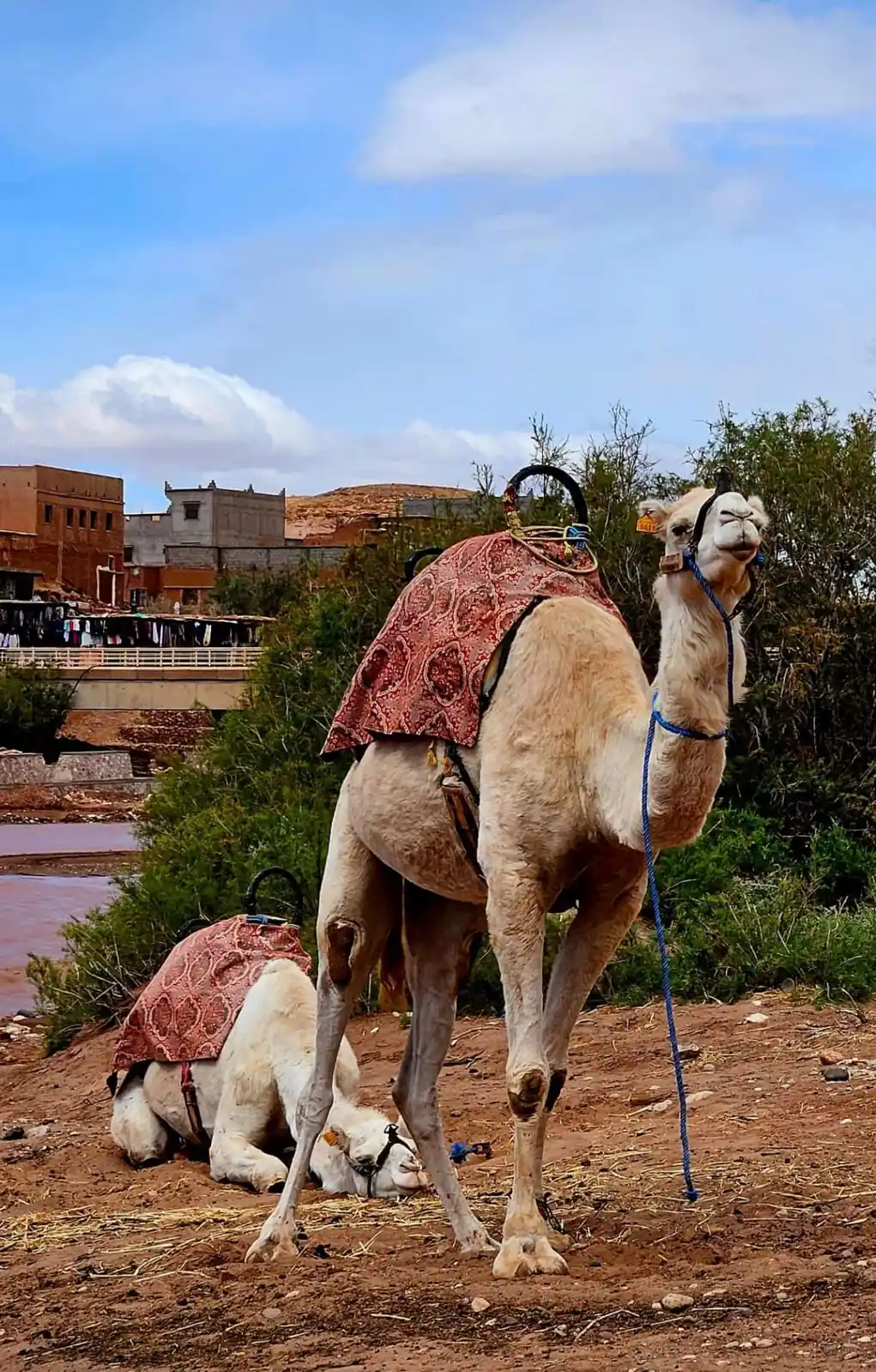 Imperial Cities & Desert Experience gallery image