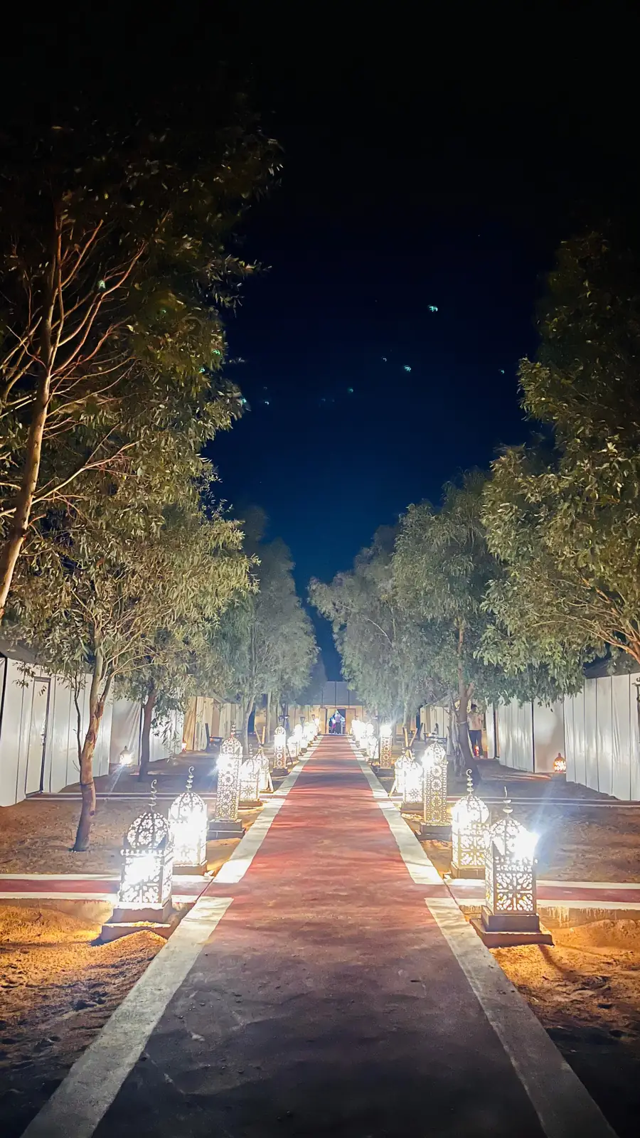 Fes to Marrakech via Cedar Forest & Merzouga gallery image