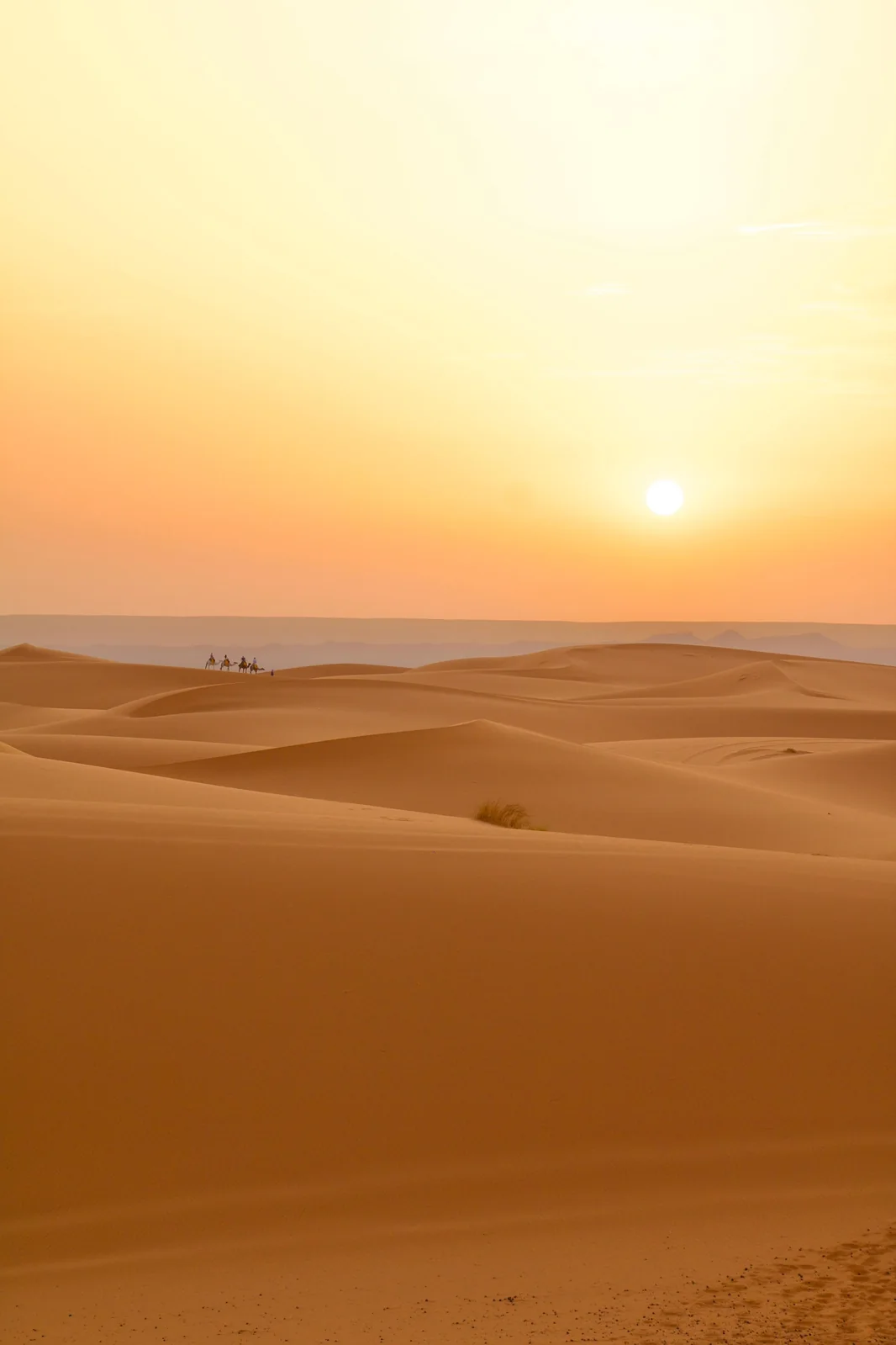 Casablanca to Marrakech via Erg Chebbi gallery image